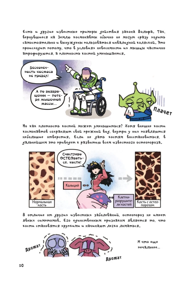 Noch anschaulichere Anatomie